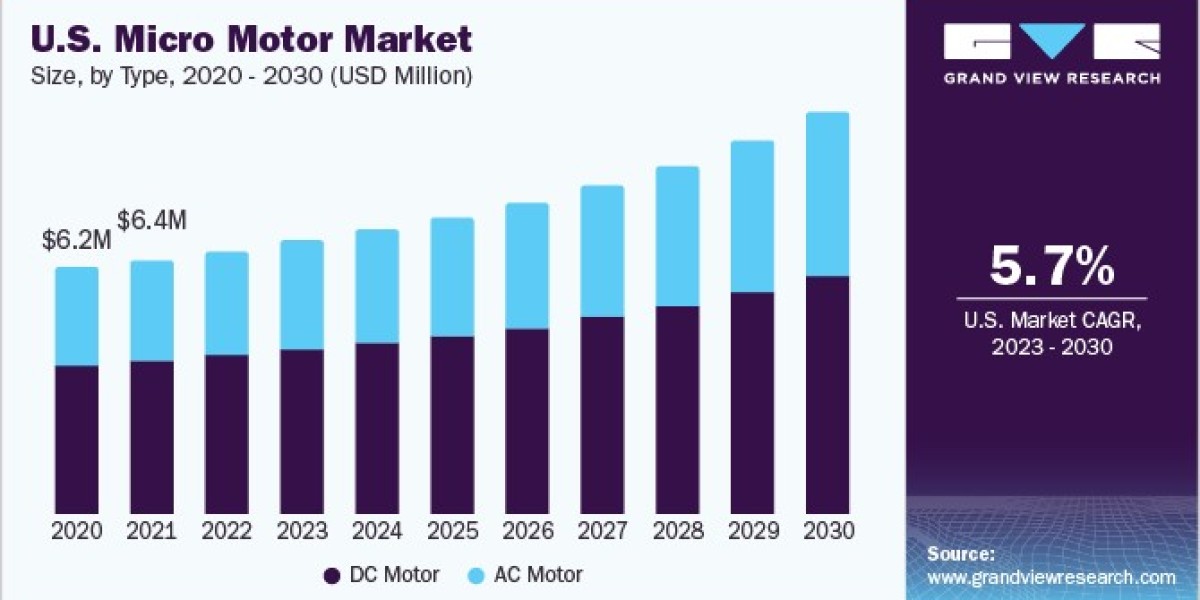 Micro Motor Market 2030: Enhancing Performance in Consumer Electronics