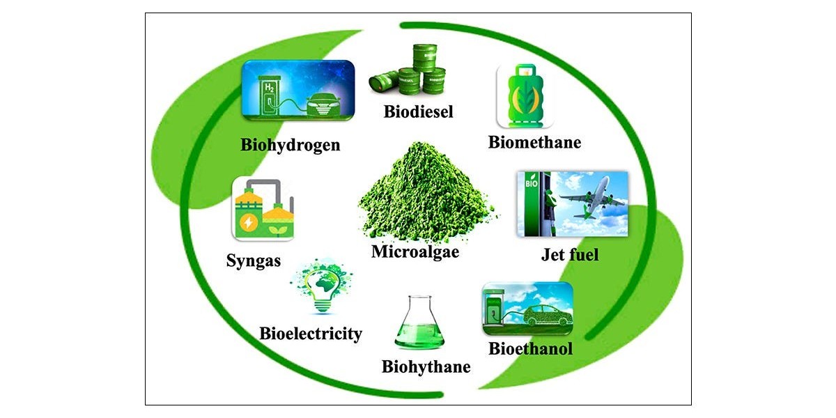 2025-2035 Outlook for Algae Biofuel Market: Sustained Expansion with 10.3% CAGR