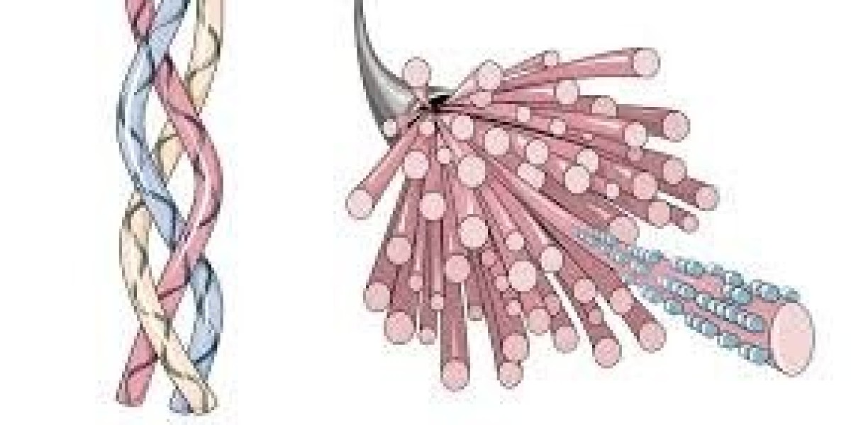 "Collagen Market Outlook 2025: Growth Drivers and Strategic Insights for Stakeholders"