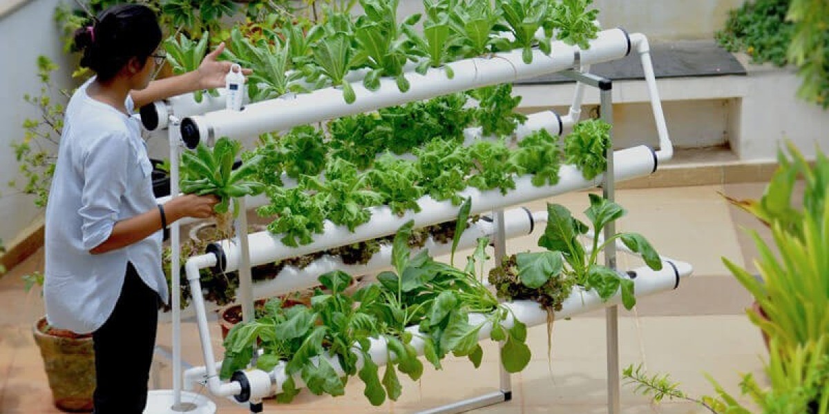 Aeroponics Market Strategic Moves: Key Strategies and Innovations Driving Industry Growth and Expansion