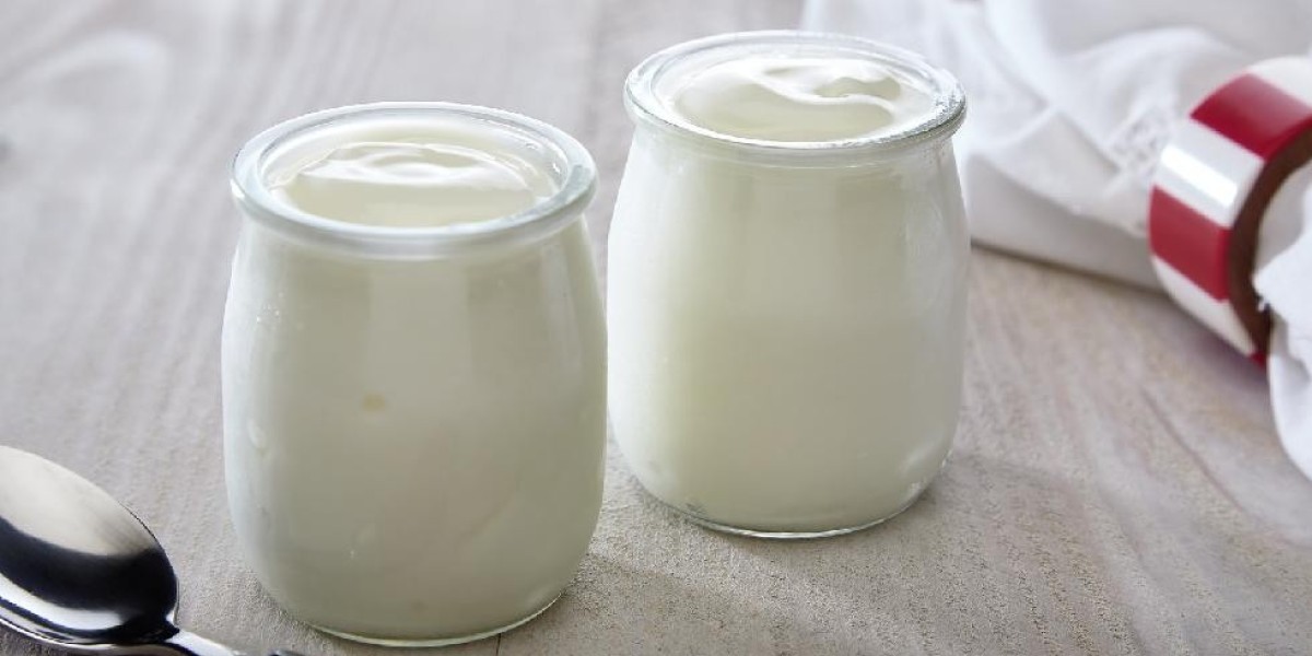 Dairy Desserts Market Trends Supporting Growth in Probiotic-Rich and Plant-Based Alternative Segments