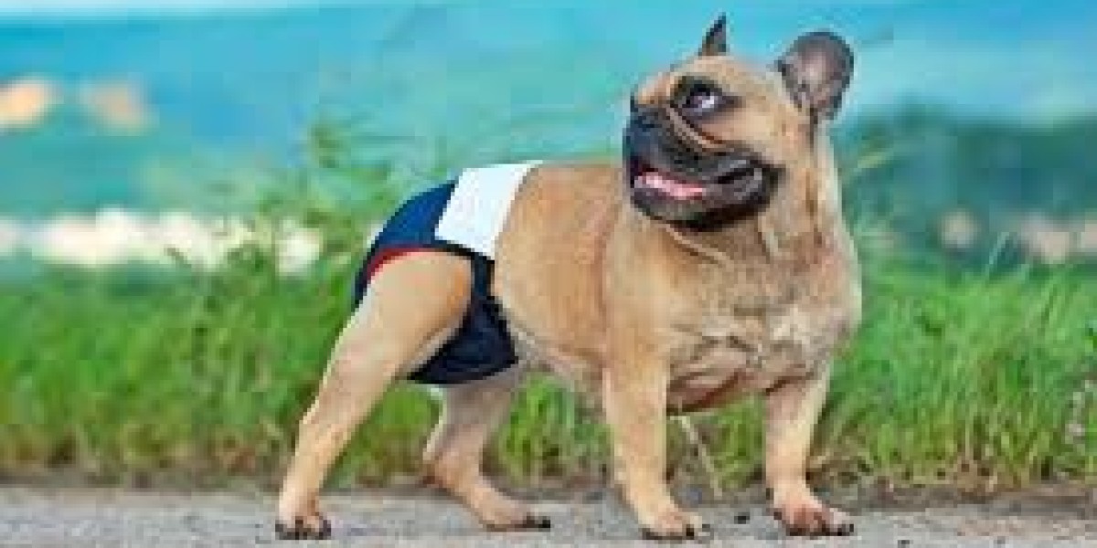 Pet Diaper Market Challenges: Sourcing, Production, and Overcoming Consumer Concerns About Sustainability