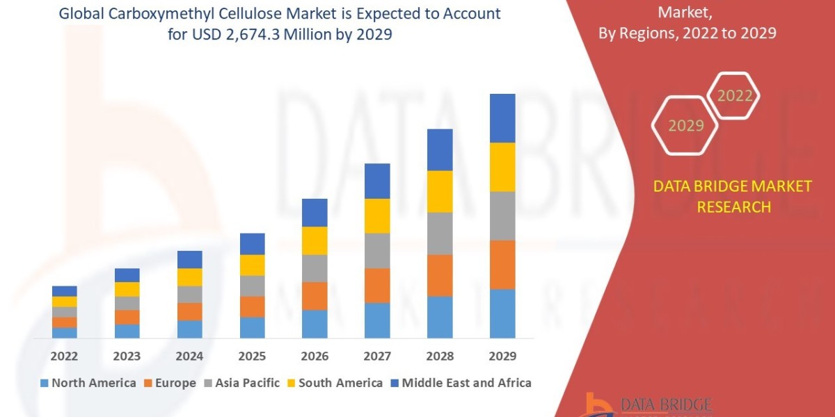 Exploring Growth in the Carboxymethyl Cellulose Market