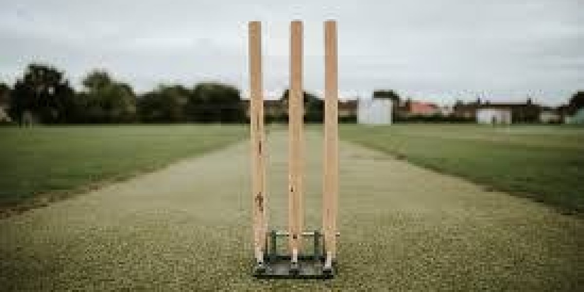Premium Cricket Turf Manufacturer | OSMS Turf