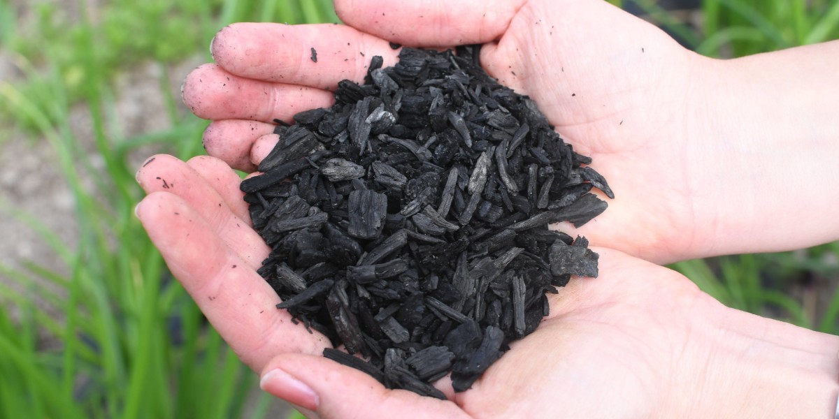 Biochar Market Development: Environmental Benefits Driving Adoption Across Industries