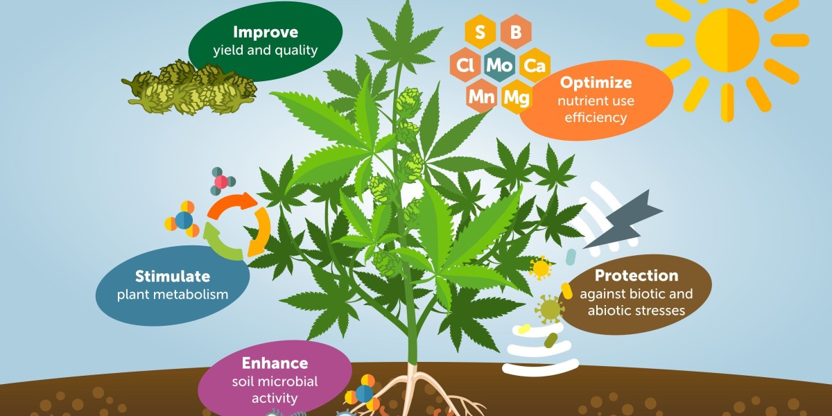 Biostimulants Are Transforming Modern Agriculture