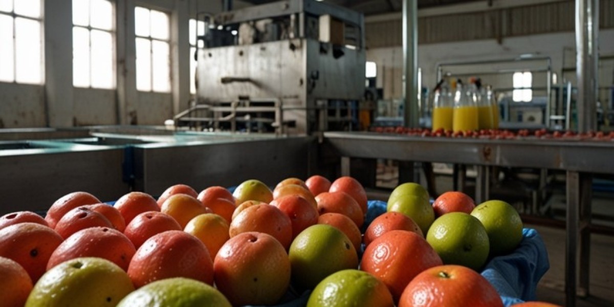 Guava Juice Processing Plant Project Report Plant Setup Details, Capital Investments and Expenses
