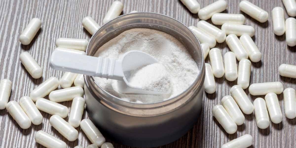 Milk Thistle Supplements Market Players Explore E-Commerce Growth Channels to Reach Health-Conscious Digital Consumers