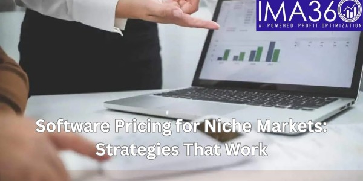 Software Pricing for Niche Markets: Strategies That Work