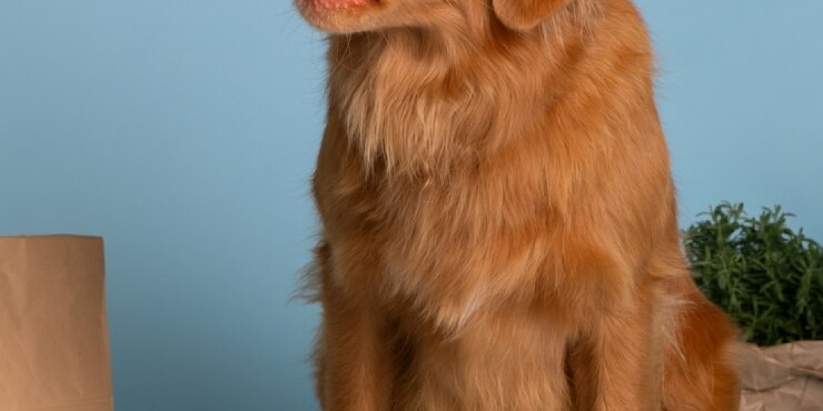 Pet Food Market Growth Driven by Increasing Pet Adoption and Premium Product Preferences Worldwide