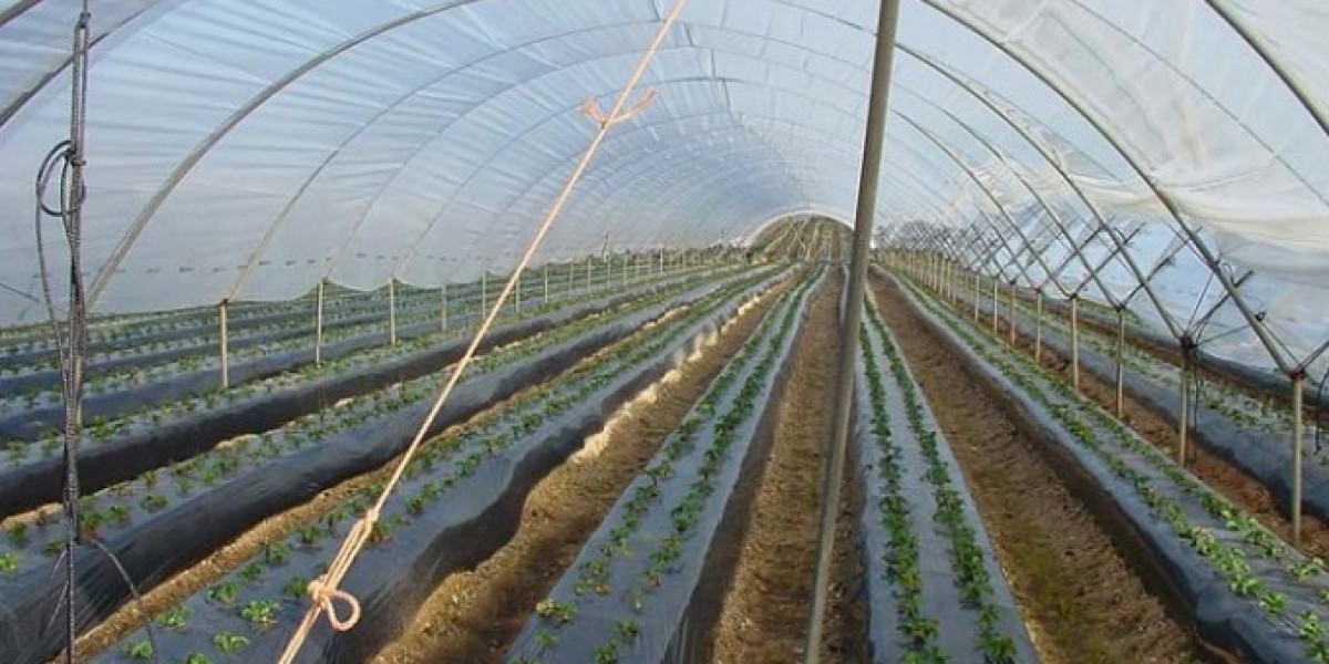 Agricultural Films Market Dynamics: Drivers, Challenges, and Opportunities Shaping Future Growth