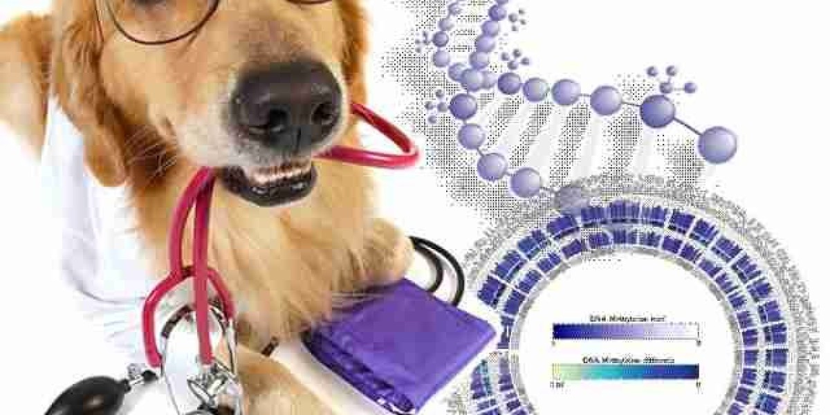 Animal Genetics Market Potential: Increasing Adoption of Genetic Technologies in Livestock Breeding and Disease Resistan