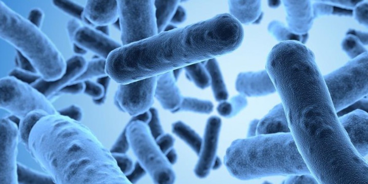 Bacillus Coagulans Market Landscape: Emerging Trends, Growth Opportunities, and Competitive Industry Overview