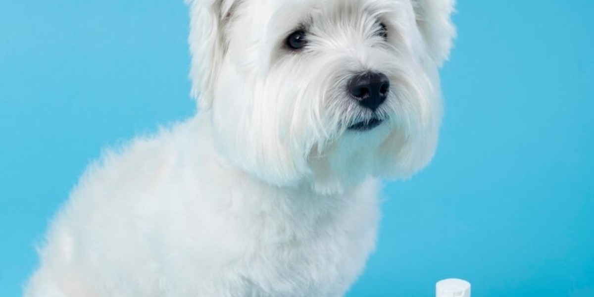 Pet Supplement Market Scenario: How E-commerce, Natural Ingredients, and Personalized Solutions are Shaping Growth