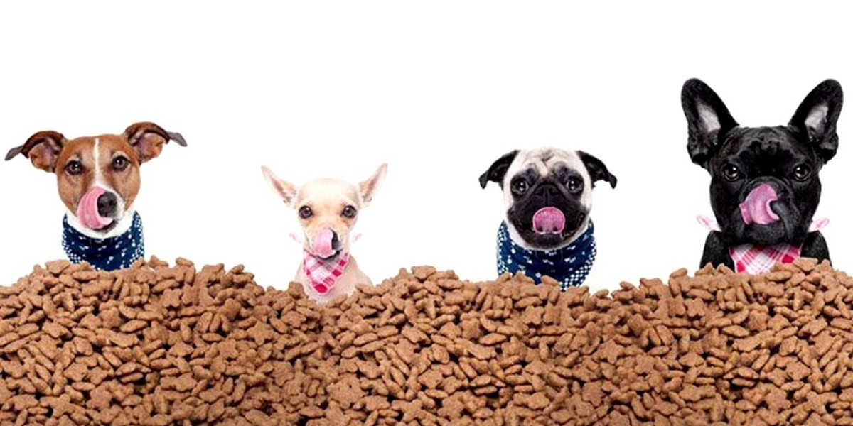 Understanding the Dog Food Market Dynamics: Key Trends, Consumer Behavior, and Industry Shifts