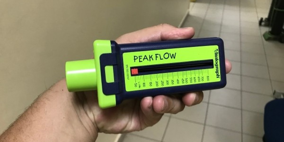 Peak Flow Meter Market Expansion Fueled by Smart Devices and Integration with Mobile Health Apps