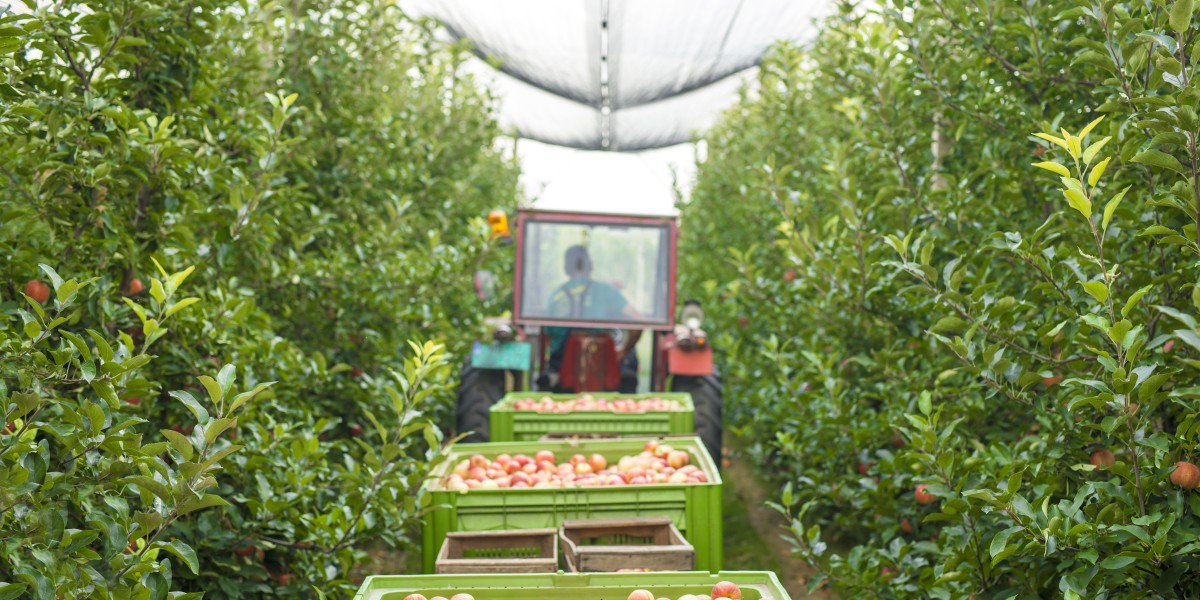 Japan Agricultural Machinery Market Size, Share, Forecasts to 2032.