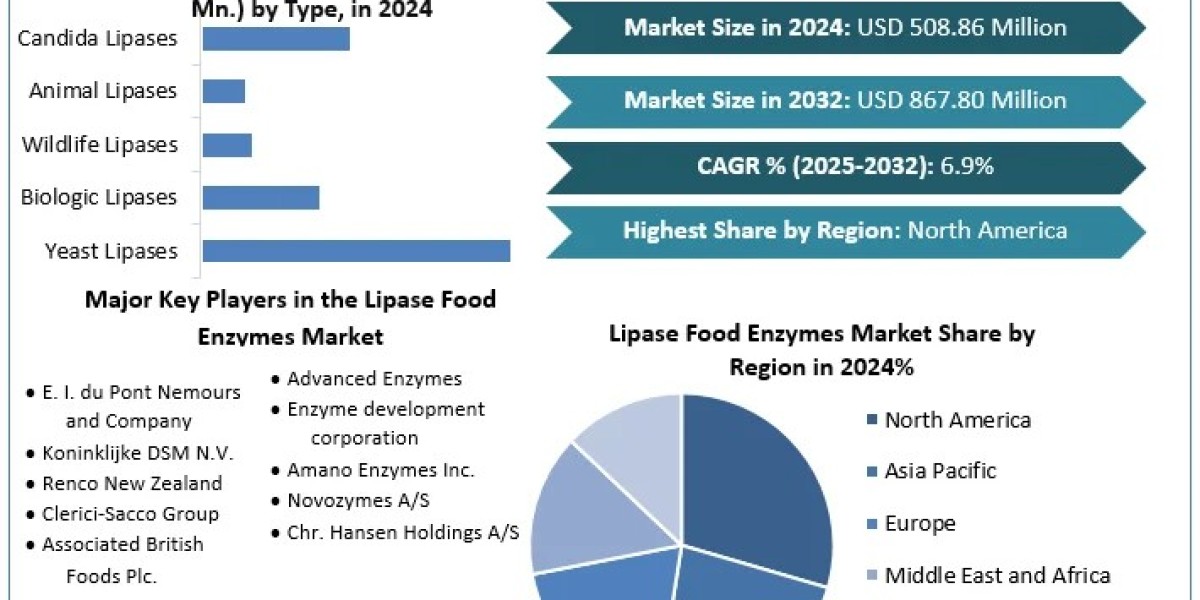 Lipase Food Enzymes Market Trends, Industry Share, Business Opportunities and Demand Forecast to 2030