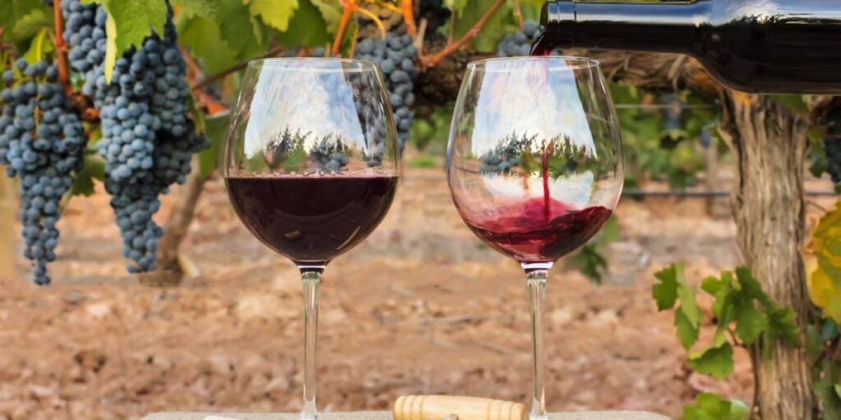 United States Wine Market Share, Growth and Report 2025-2033