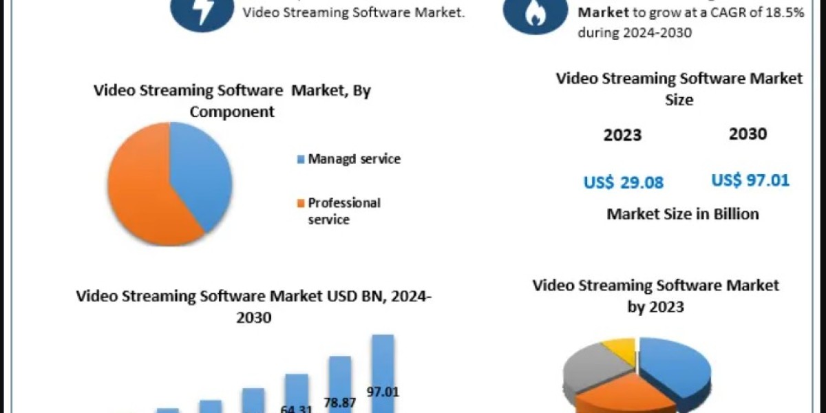 Video Streaming Software Market Size: Regional and Industry Breakdown