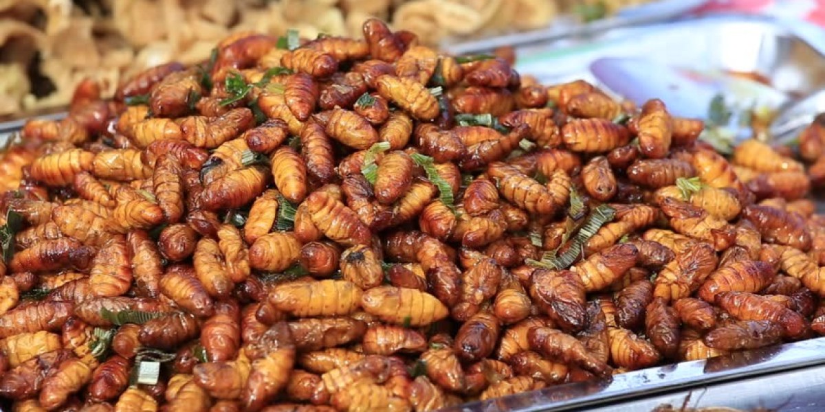 Earthworm Meal Market: Exploring Global Potential as a Sustainable and Nutritious Protein Source