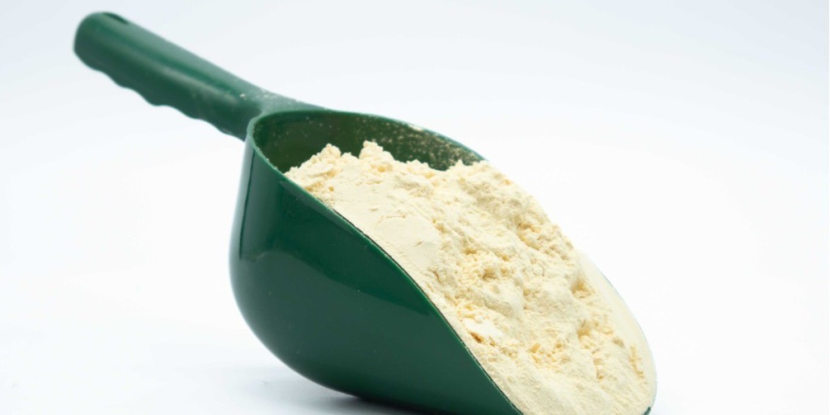 Whole Egg Powder Manufacturing Plant Setup 2025: Cost Analysis and Investment Opportunities