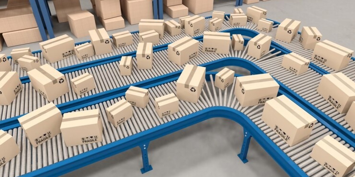 Global Sortation System Market: Trends, Growth Drivers, and Future Outlook