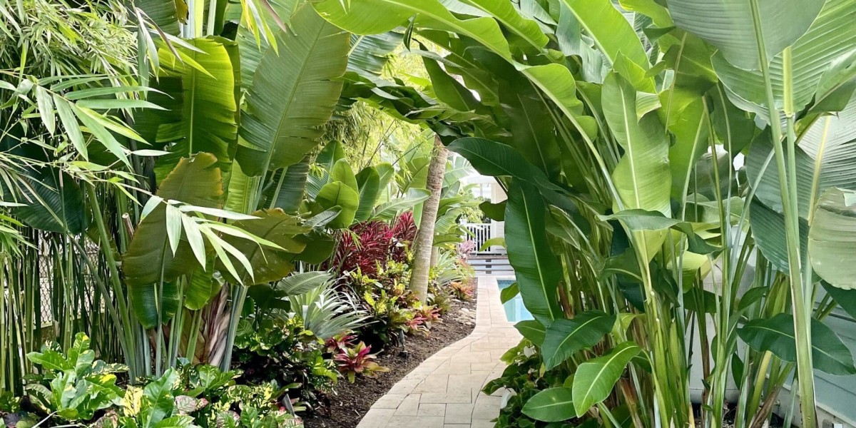 Transform Your Outdoor Space with Bonita Springs' Premier Landscapers