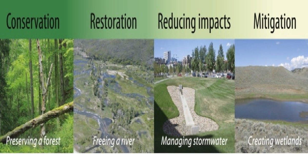Ecological Restoration Service Market is Booming Worldwide to Show Significant Growth Over the Forecast to 2031