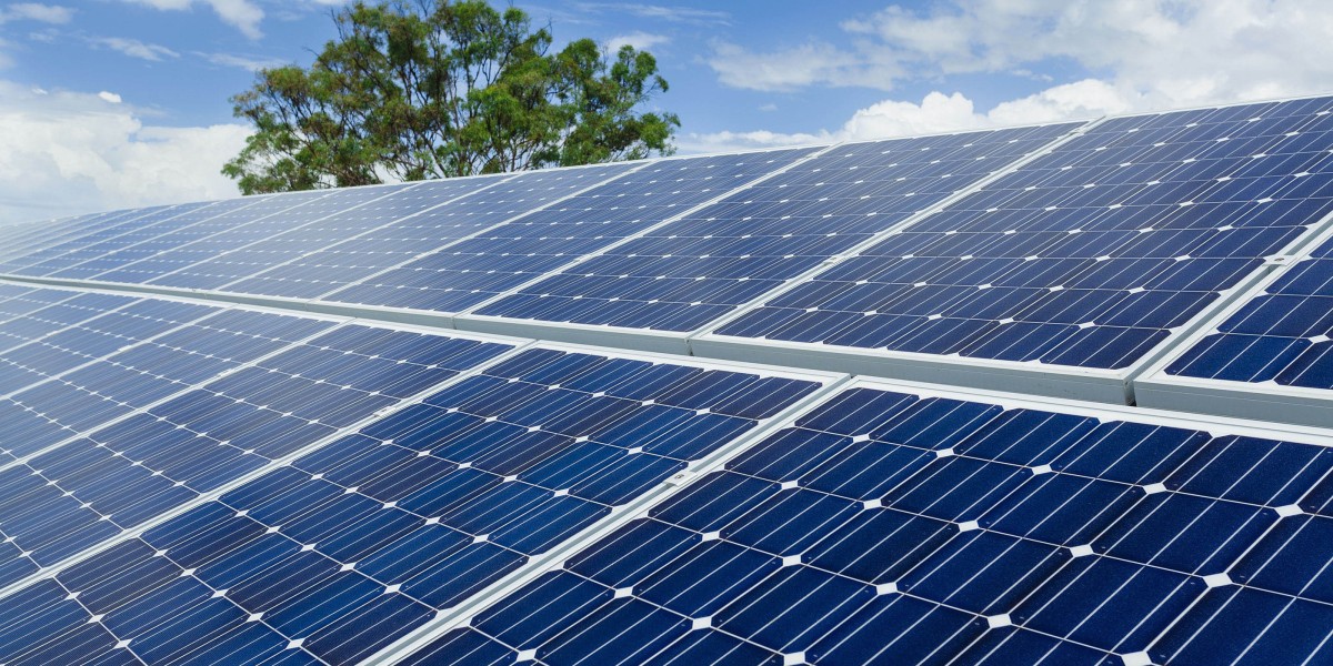 Solar Collector Market Potential: Key Trends Accelerating Growth in Renewable Energy Sector