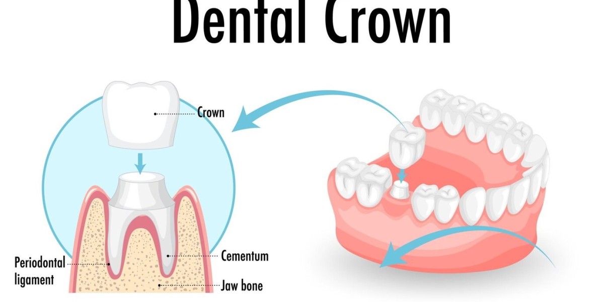 Tooth Regeneration Market: Revolutionizing Dental Care with Natural Tissue Regeneration and Stem Cell Research