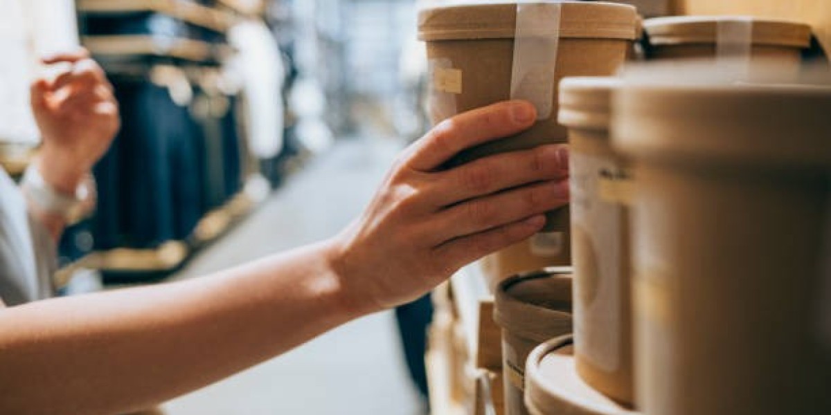 Biodegradable Packaging Market Insights: Innovations, Challenges, and Opportunities in a Green Economy
