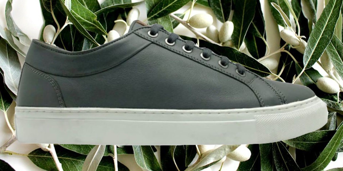 Vegan Footwear Market Development: Emerging Trends Influencing Global Demand for Plant-Based and Eco-Friendly Shoes