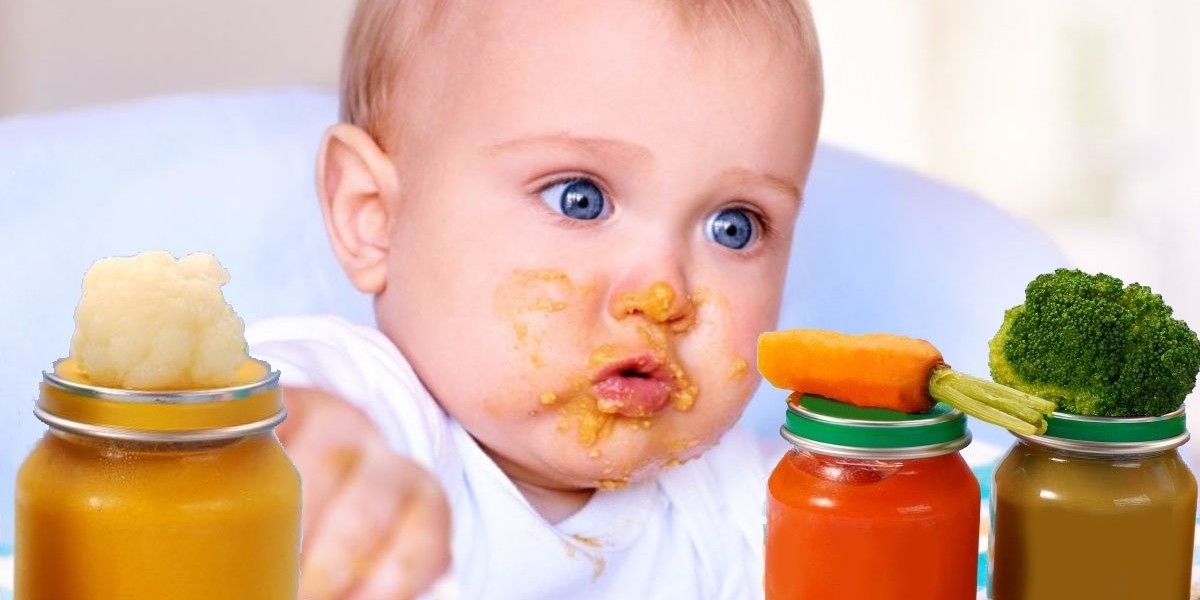 Vegan Baby Food Market: The Role of E-commerce in Distribution Growth