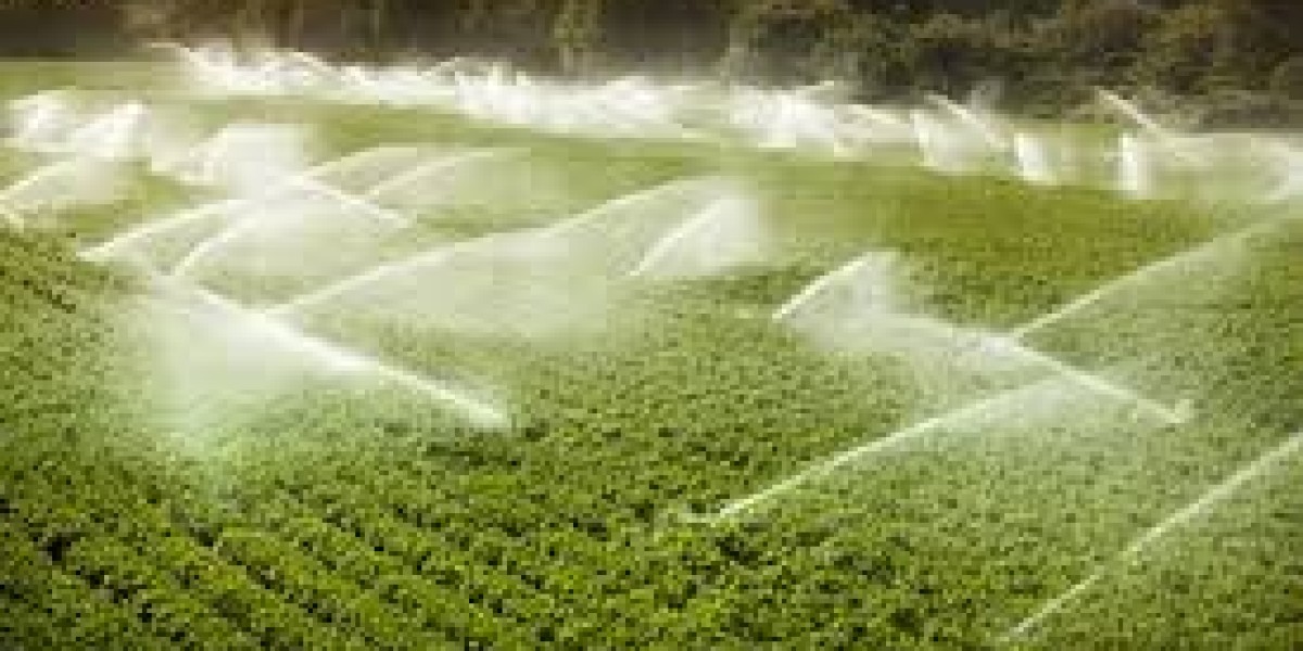 The Future of Irrigation Automation Market: Trends, Growth, and Innovations