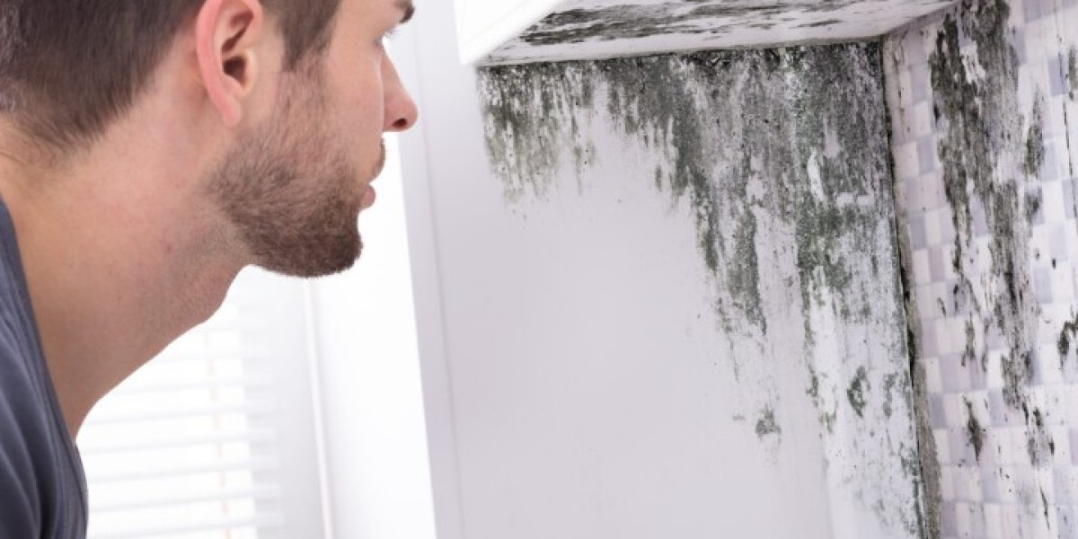Emergency Mould Removal Services in Dublin – 24/7 Availability