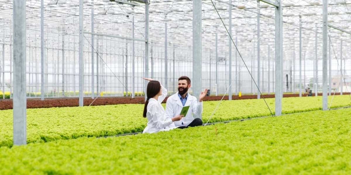 Japan’s Commercial Greenhouse Industry: Growth, Innovation, and Sustainability