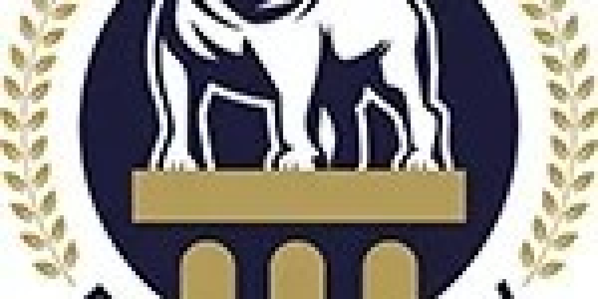 Crypto Scam Lawyers: Protecting Your Digital Assets with Bulldog Law