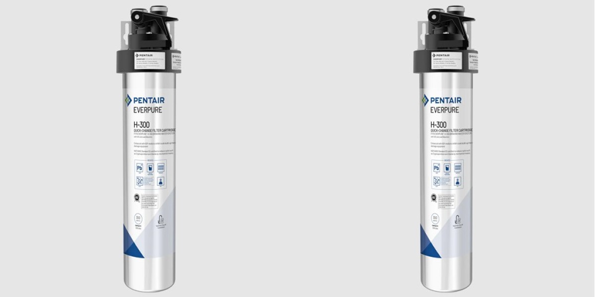 What Makes the Everpure H 300 One of the Best Under-Sink Water Filters?