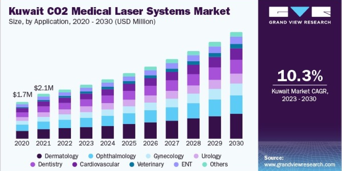 CO2 Medical Laser Systems Market 2030: Key Players and Competitive Landscape