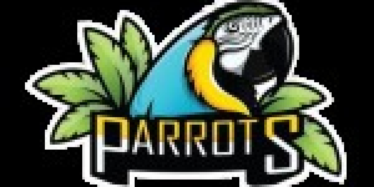 African Grey Parrot Adoption: A Comprehensive Guide