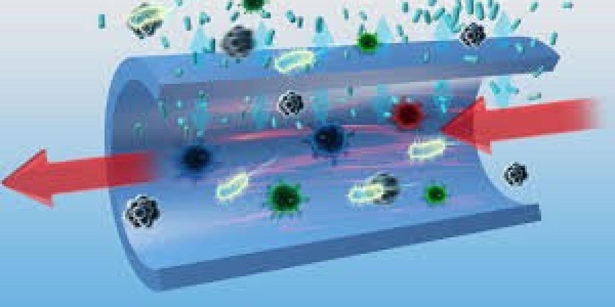 Smart Surface Solutions: Trends and Growth in the Antimicrobial Coatings Market Across Industries