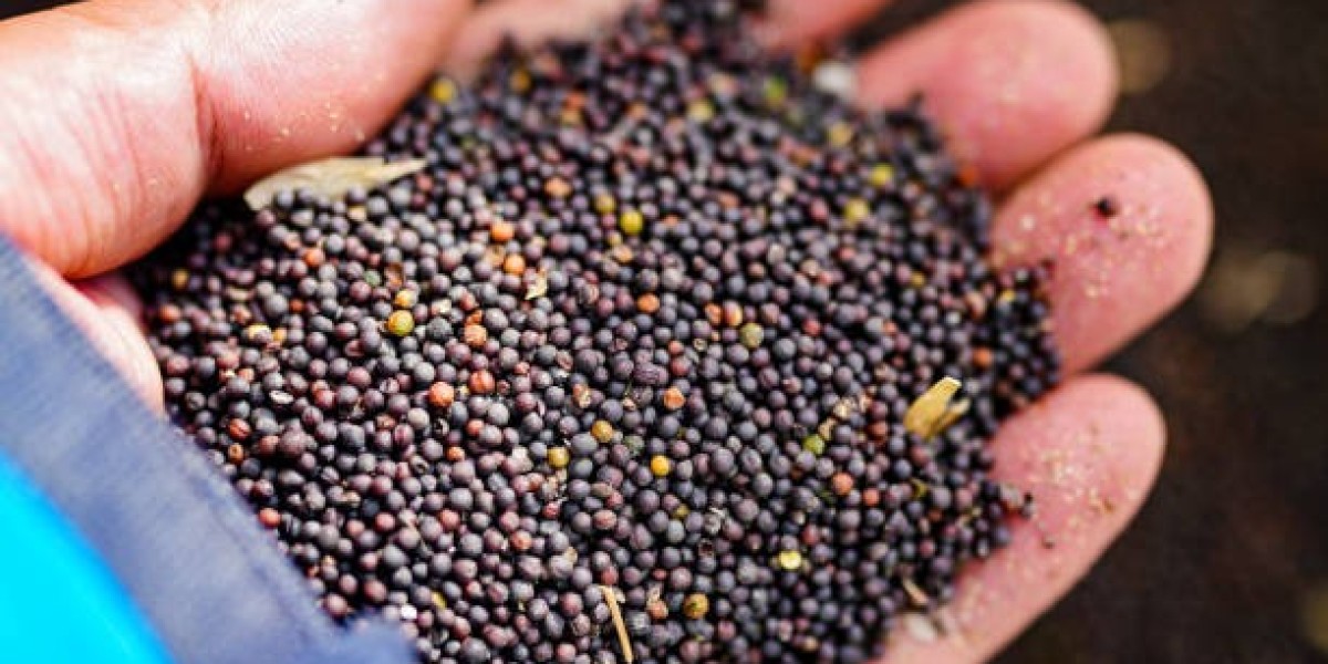 Rapeseed Meal Market Navigates Geopolitical Risks and Quality Control Issues Impacting Global Trade