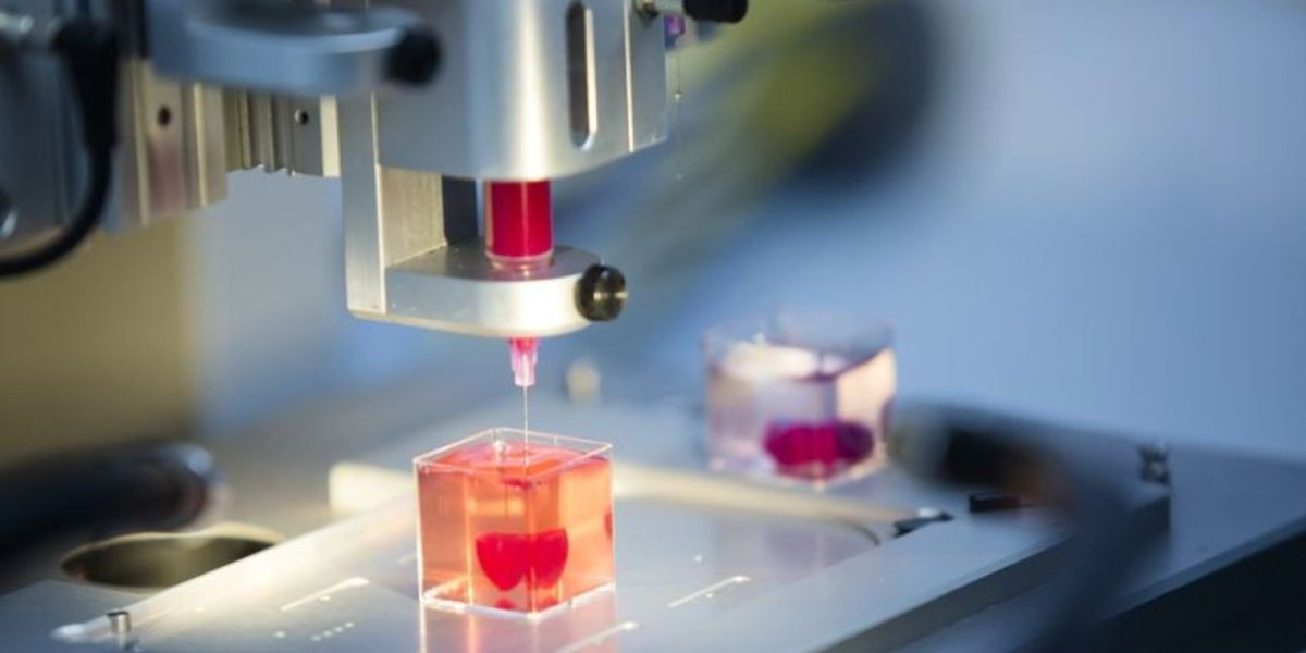 3D Bioprinting Market Forecast: Sustained Growth to Reach $8.33 Billion by 2035