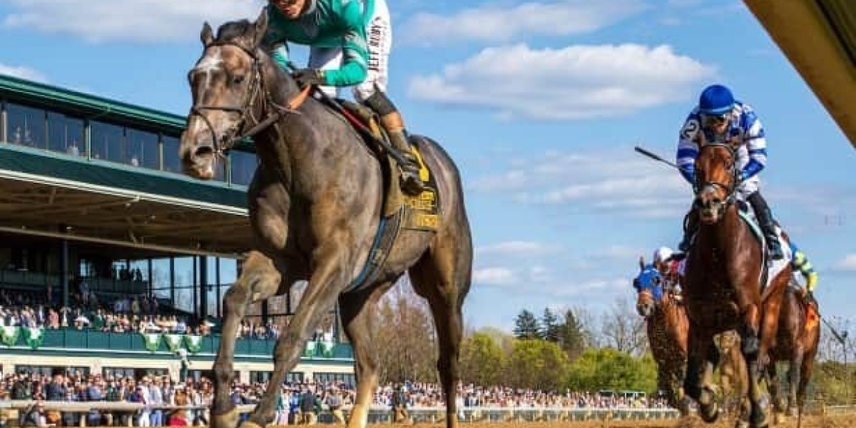 The Exciting World of Horse Racing: A Complete Guide