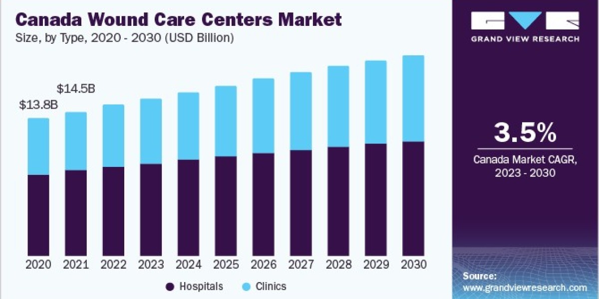 Wound Care Centers Market 2030: Geriatric Population Spurs Expansion