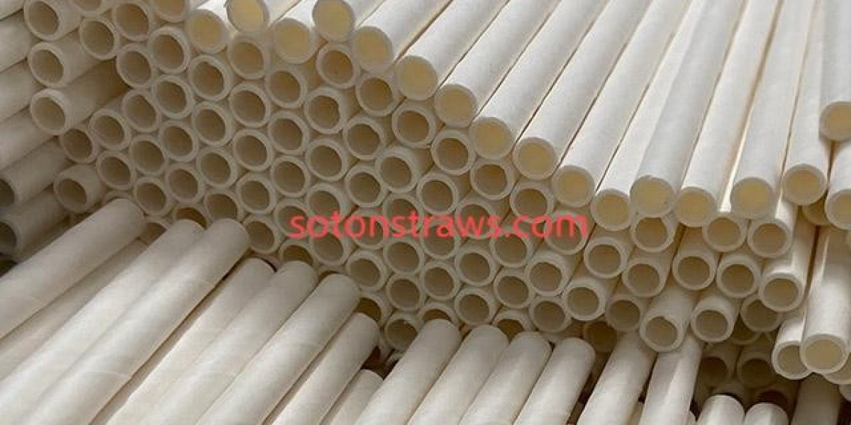 Sustainable Packaging Growth: The Rise of Paper Straws in Response to Global Plastic Bans