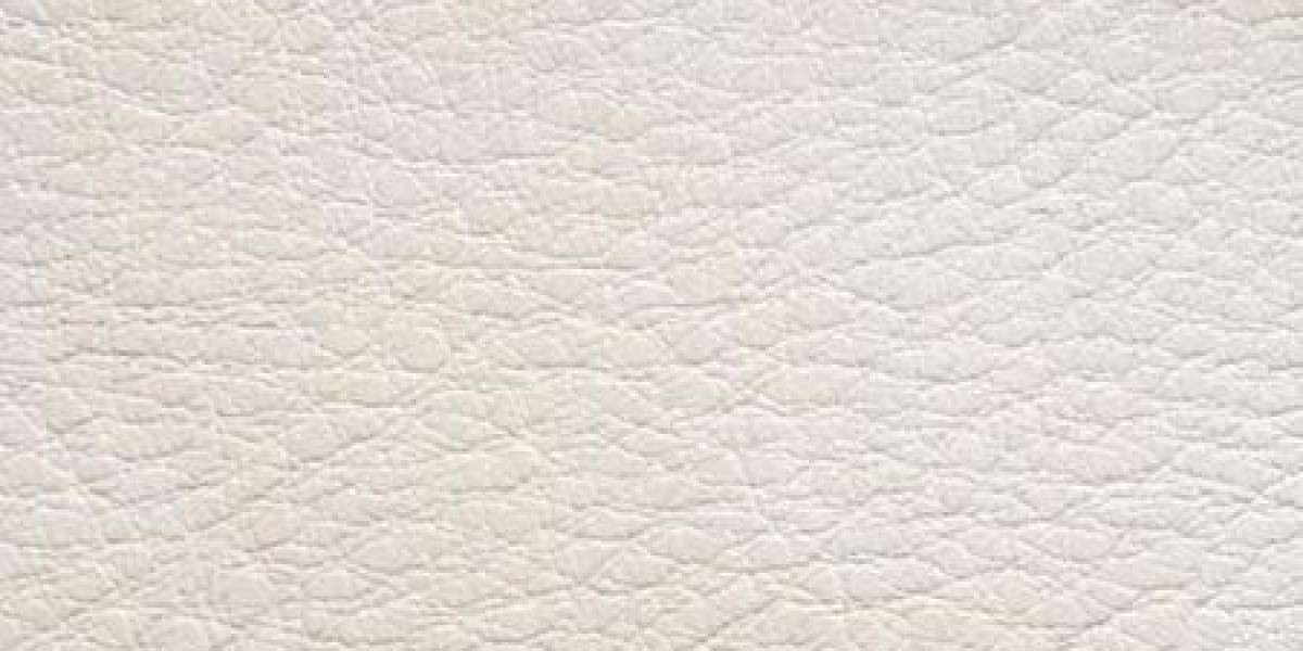 The Rise of Plant-Based Leather Market Size, Trends, and Future Outlook