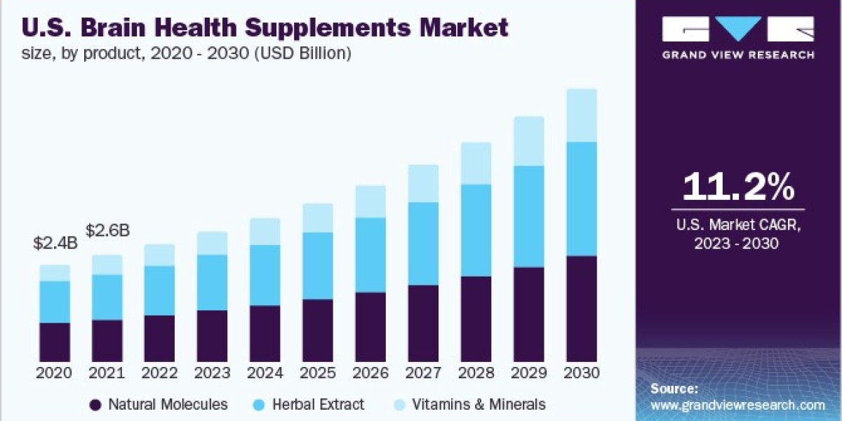 Brain Health Supplements Market Growth Led by Expanding Retail and Online Channels