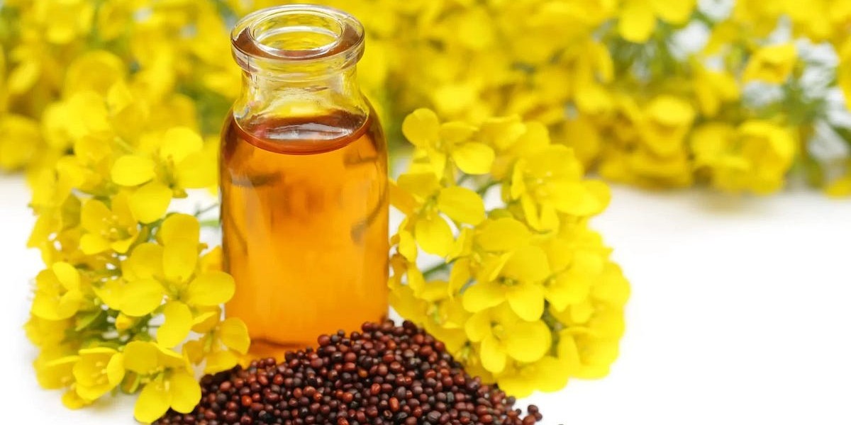 Rapeseed Oil Market: Poised for Expansion Amid Rising Health Awareness and Eco-Friendly Trends